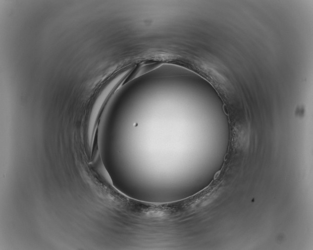 X0000090610358200707241111