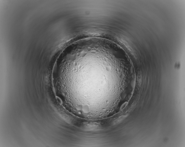 X0000090610359200707241111