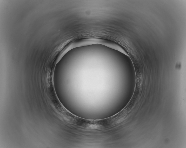 X0000090610360200707241111