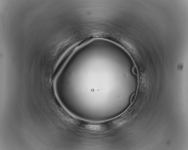 X0000090610361200707241111