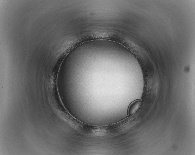 X0000090610362200707241111