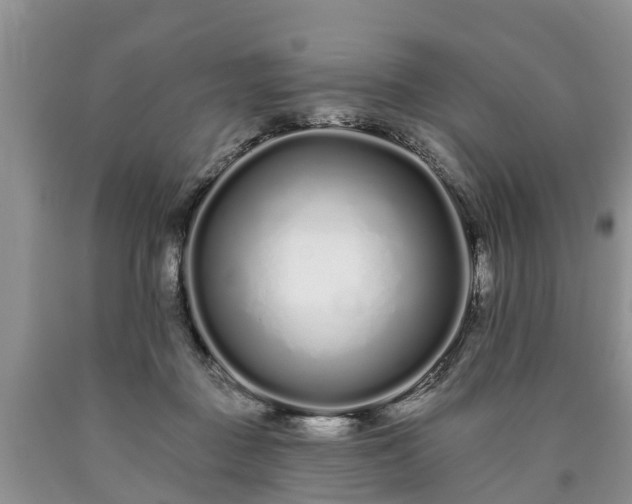 X0000090610363200707241111