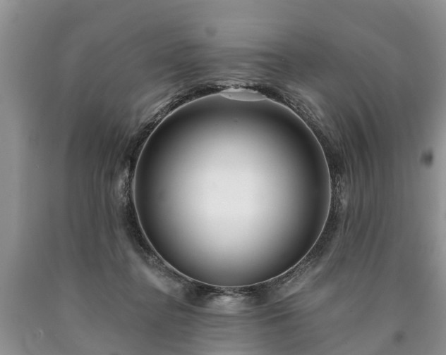 X0000090610364200707241111