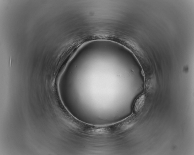 X0000090610365200707241111