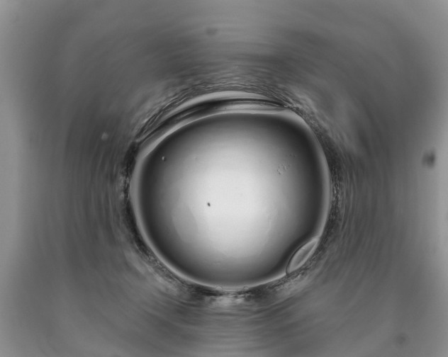 X0000090610366200707241111