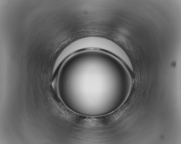 X0000090610367200707241112