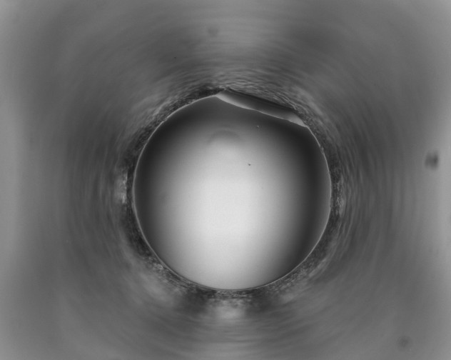 X0000090610368200707241112