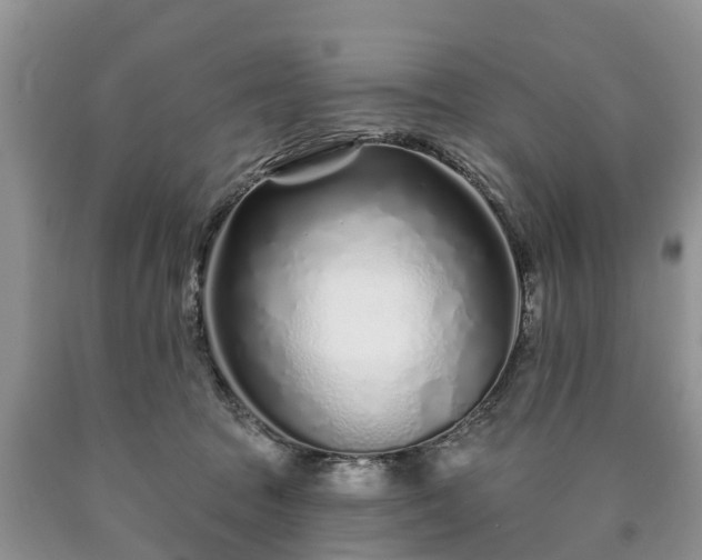 X0000090610369200707241112