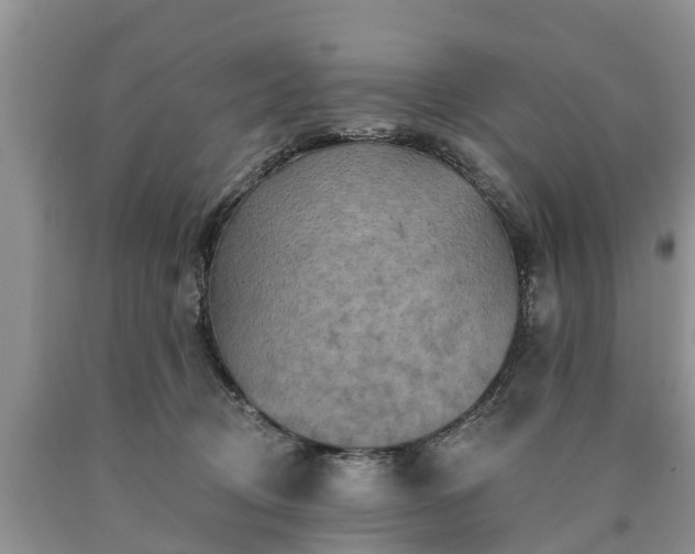 X0000090610370200707241112