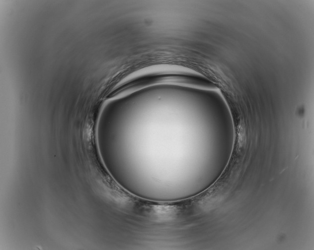 X0000090610371200707241112