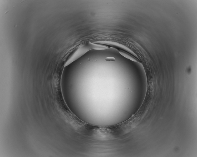 X0000090610372200707241112