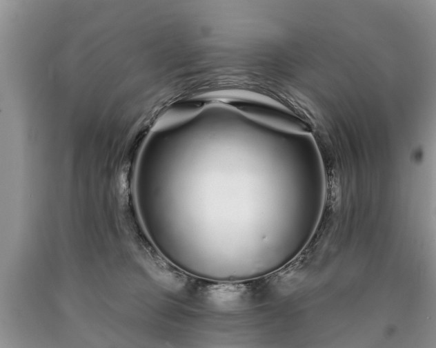 X0000090610373200707241112