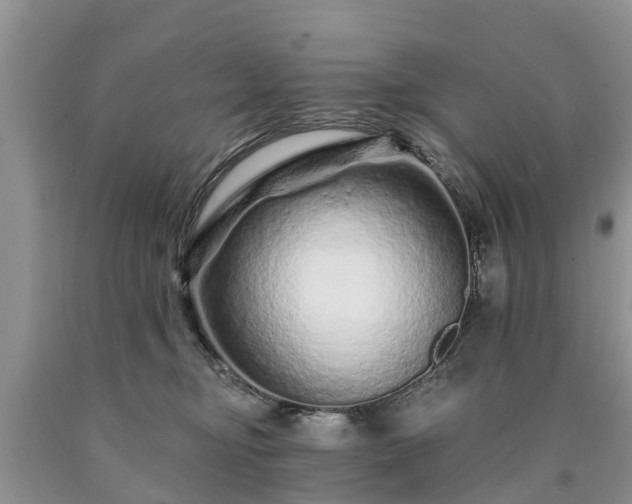 X0000090610374200707241112