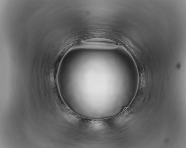 X0000090610377200707241112