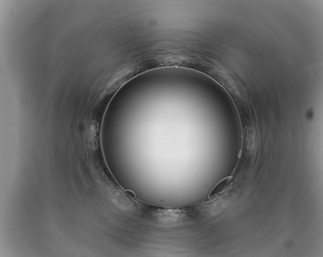 X0000090610378200707241112