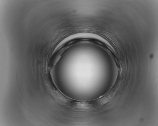 X0000090610380200707241112