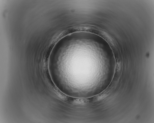 X0000090610381200707241112