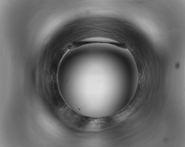 X0000090610382200707241112