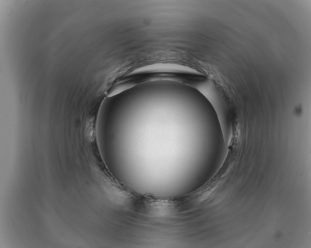 X0000090610383200707241112