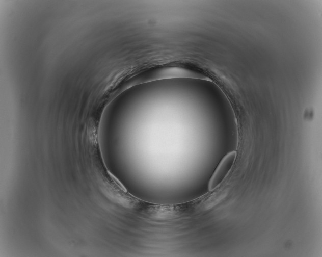 X0000090610384200707241112