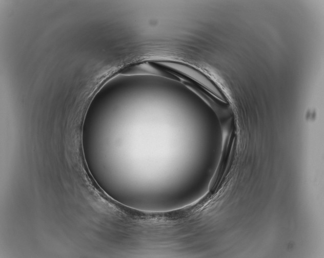 X0000090610385200707241111