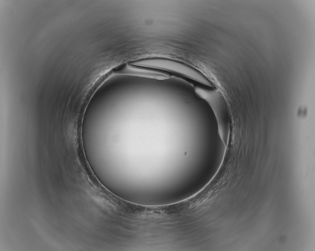 X0000090610386200707241111