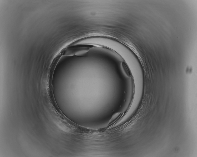 X0000090610387200707241111