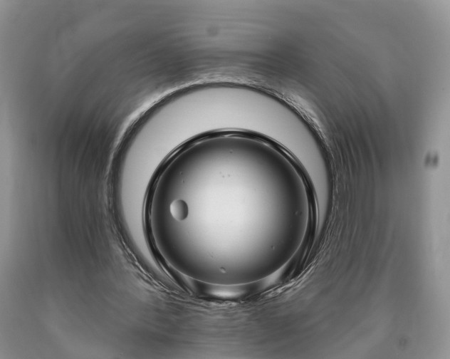 X0000090610388200707241111