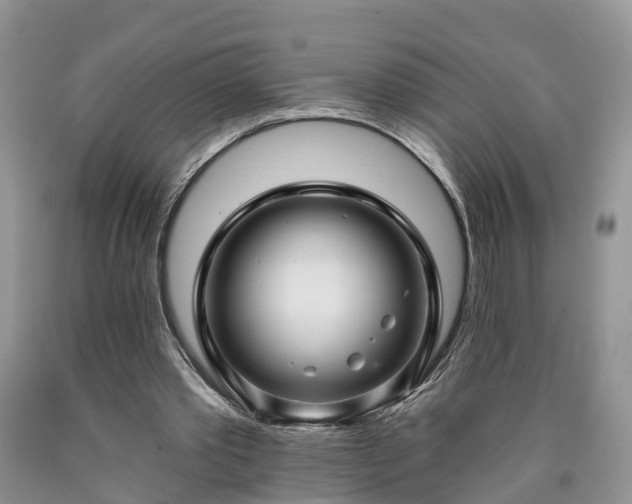 X0000090610389200707241111