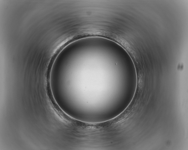 X0000090610390200707241111