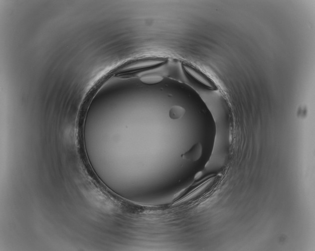 X0000090610391200707241111