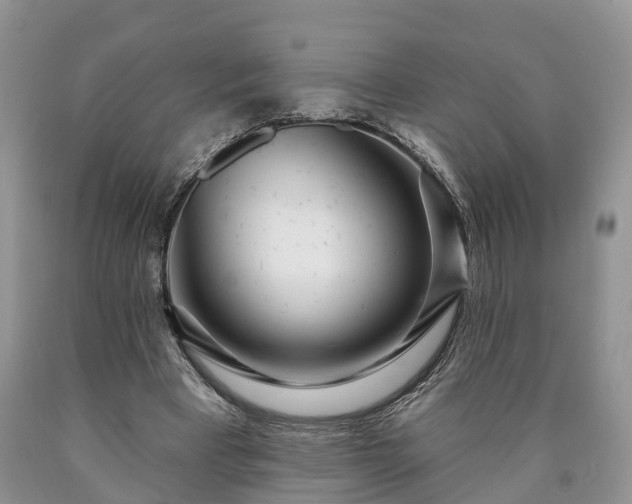 X0000090610393200707241111