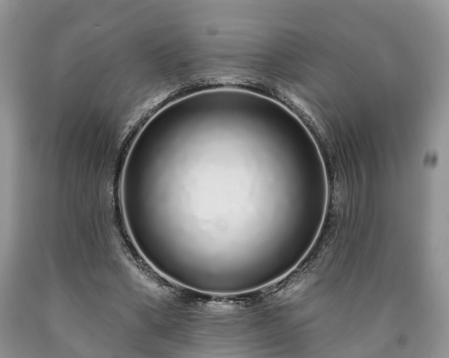 X0000090610394200707241111