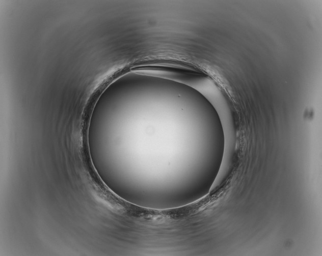 X0000090610395200707241111