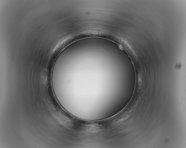 X0000090610396200707241111