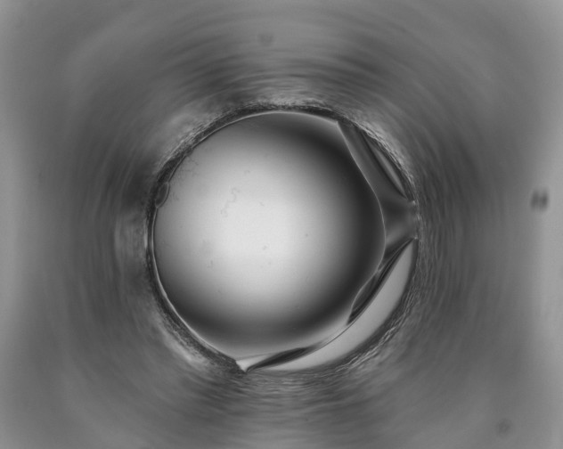 X0000090610397200707241111