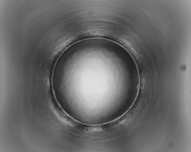 X0000090610398200707241111