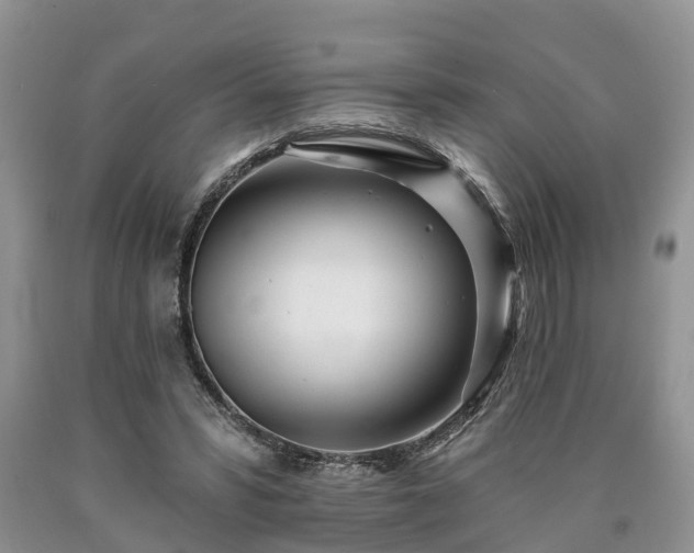 X0000090610399200707241111