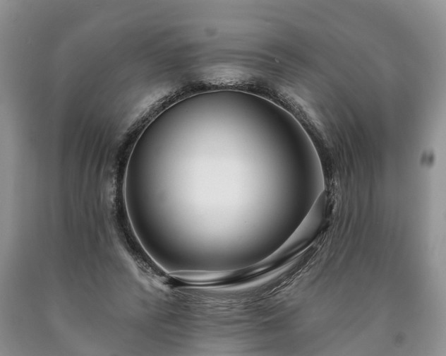 X0000090610400200707241111