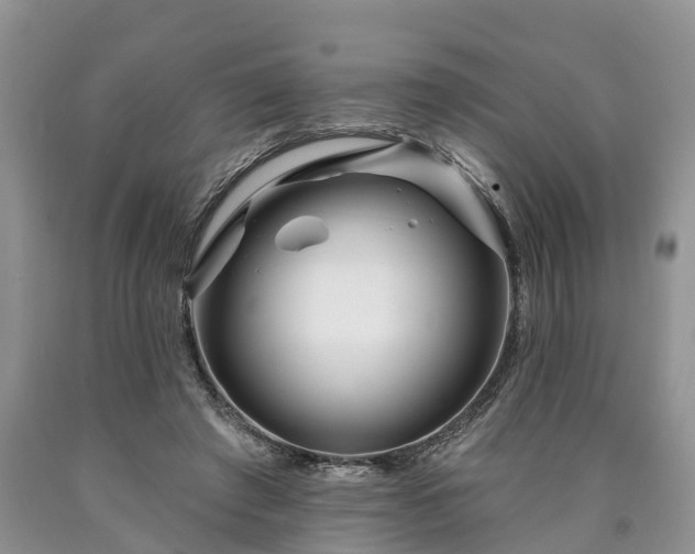 X0000090610401200707241111