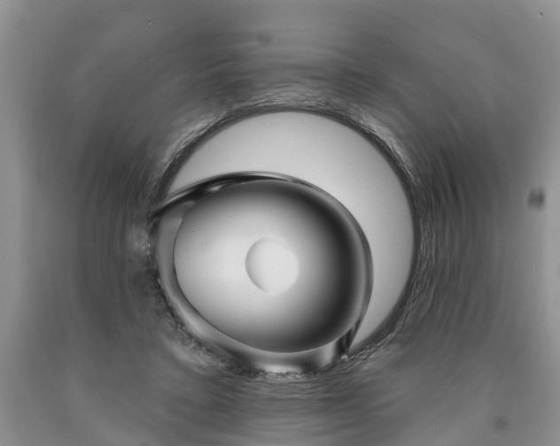 X0000090610403200707241111