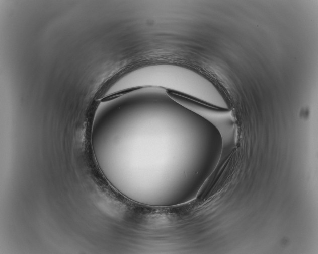 X0000090610404200707241111