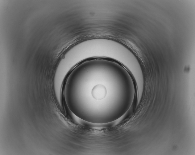 X0000090610405200707241111