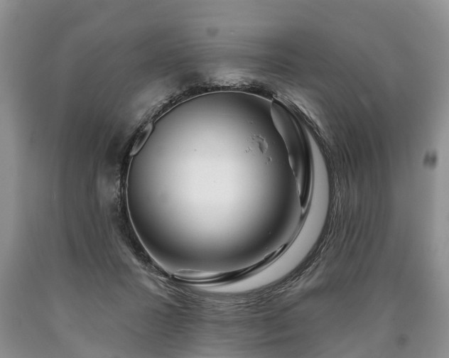 X0000090610407200707241111