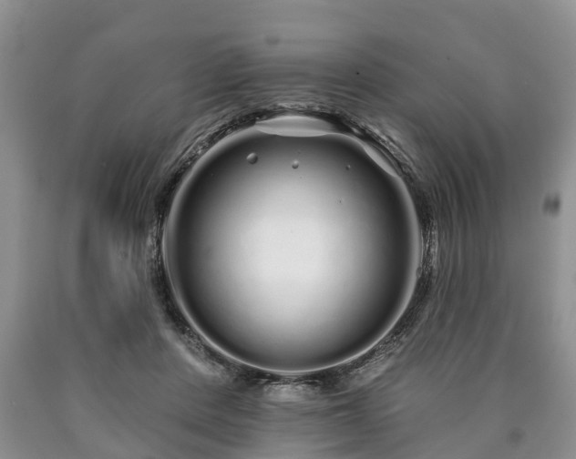 X0000090610408200707241111