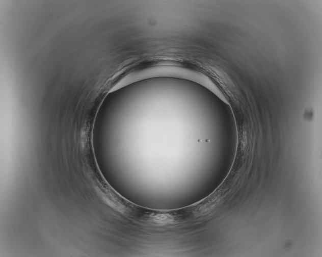 X0000090610409200707241111