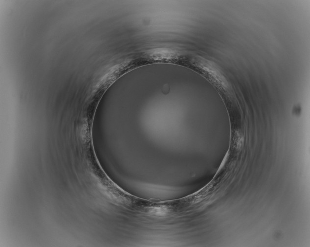 X0000090610411200707241111