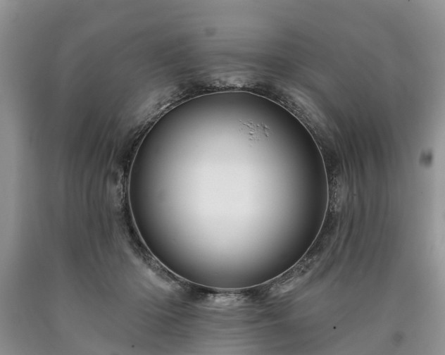 X0000090610414200707241111