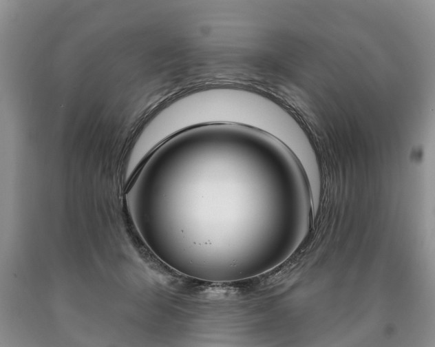 X0000090610415200707241111