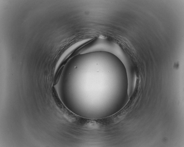 X0000090610416200707241111